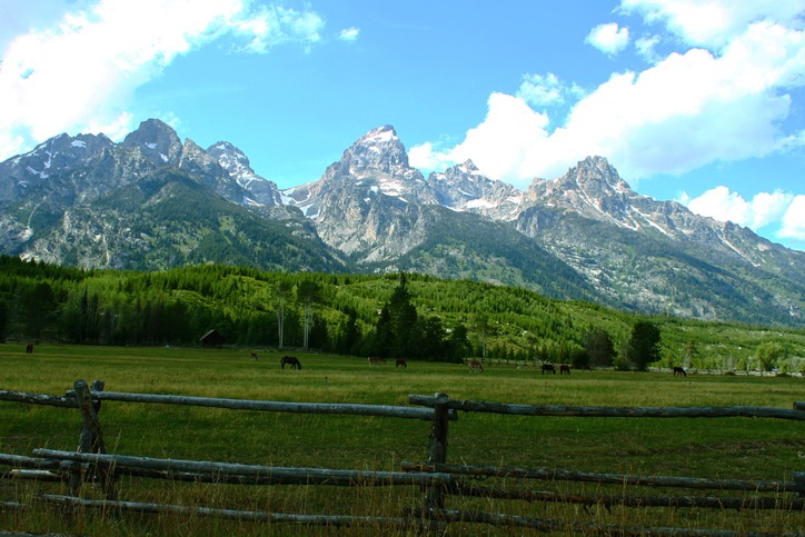 a large green field with a mountain in the background