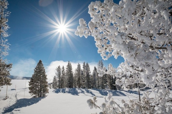 a snow covered slope