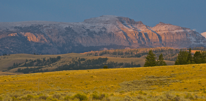 a large green field with a mountain in the background