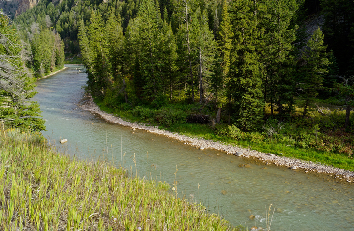 76c8bf4af6a354d a body of water surrounded by trees