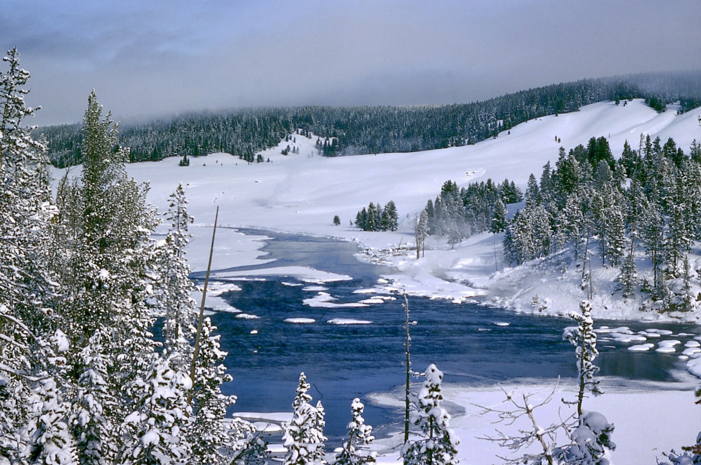 Best Yellowstone Winter Vacation Packages | Scenic Safaris