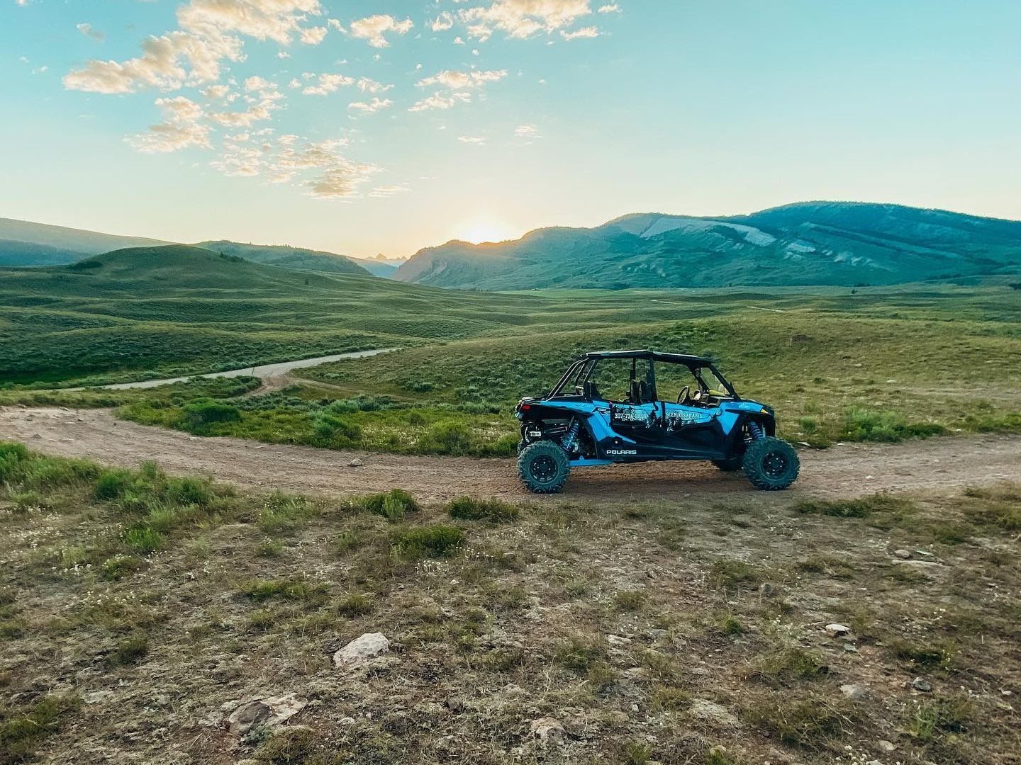 a close up of a desert field with a mountain in the background