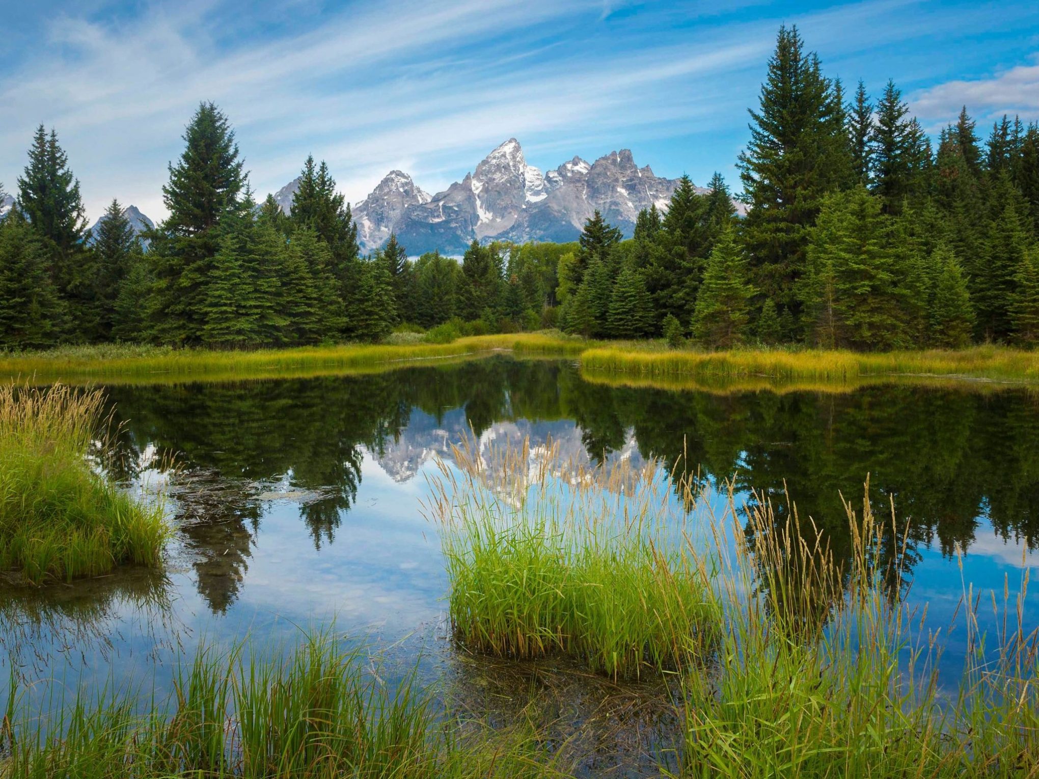 a body of water surrounded by trees