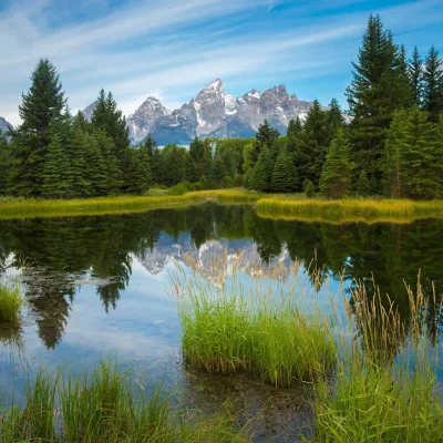 a body of water surrounded by trees