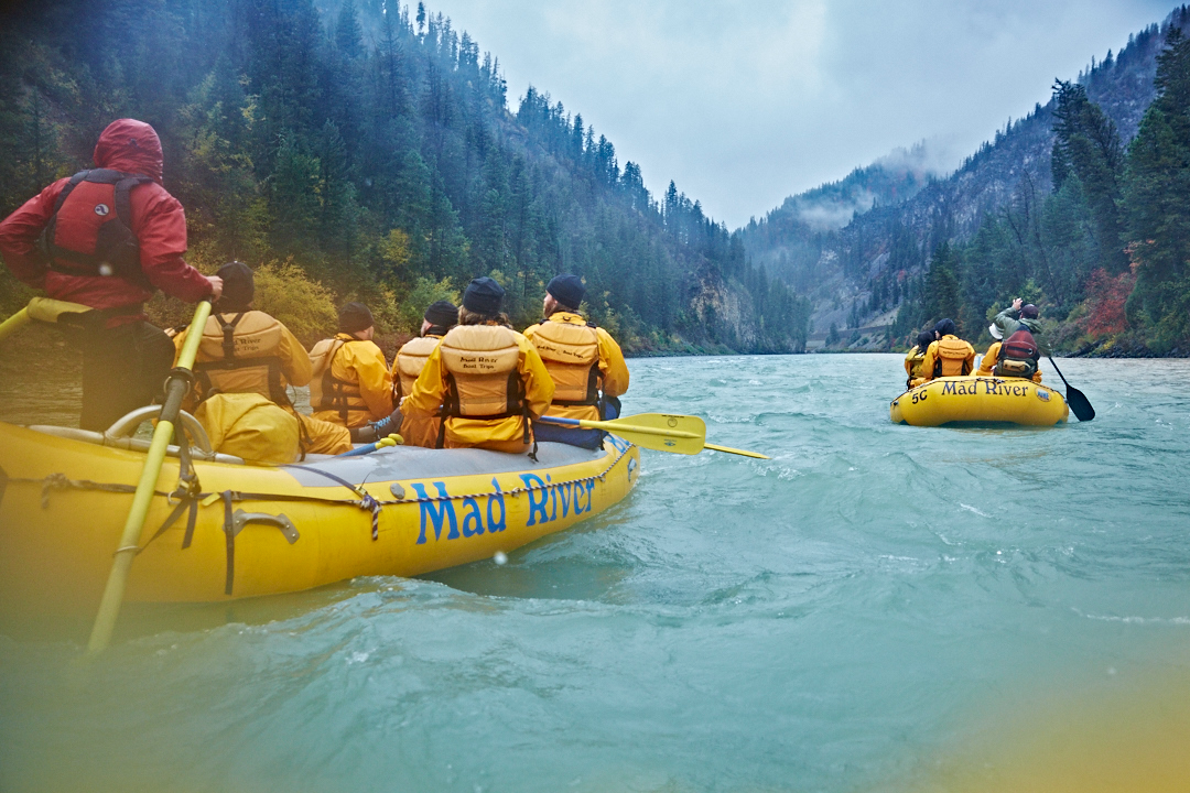 a group of people riding on the back of a boat