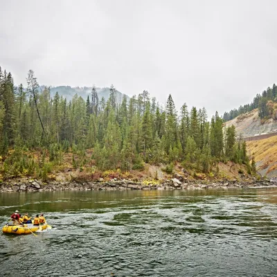 a small boat in a body of water surrounded by trees