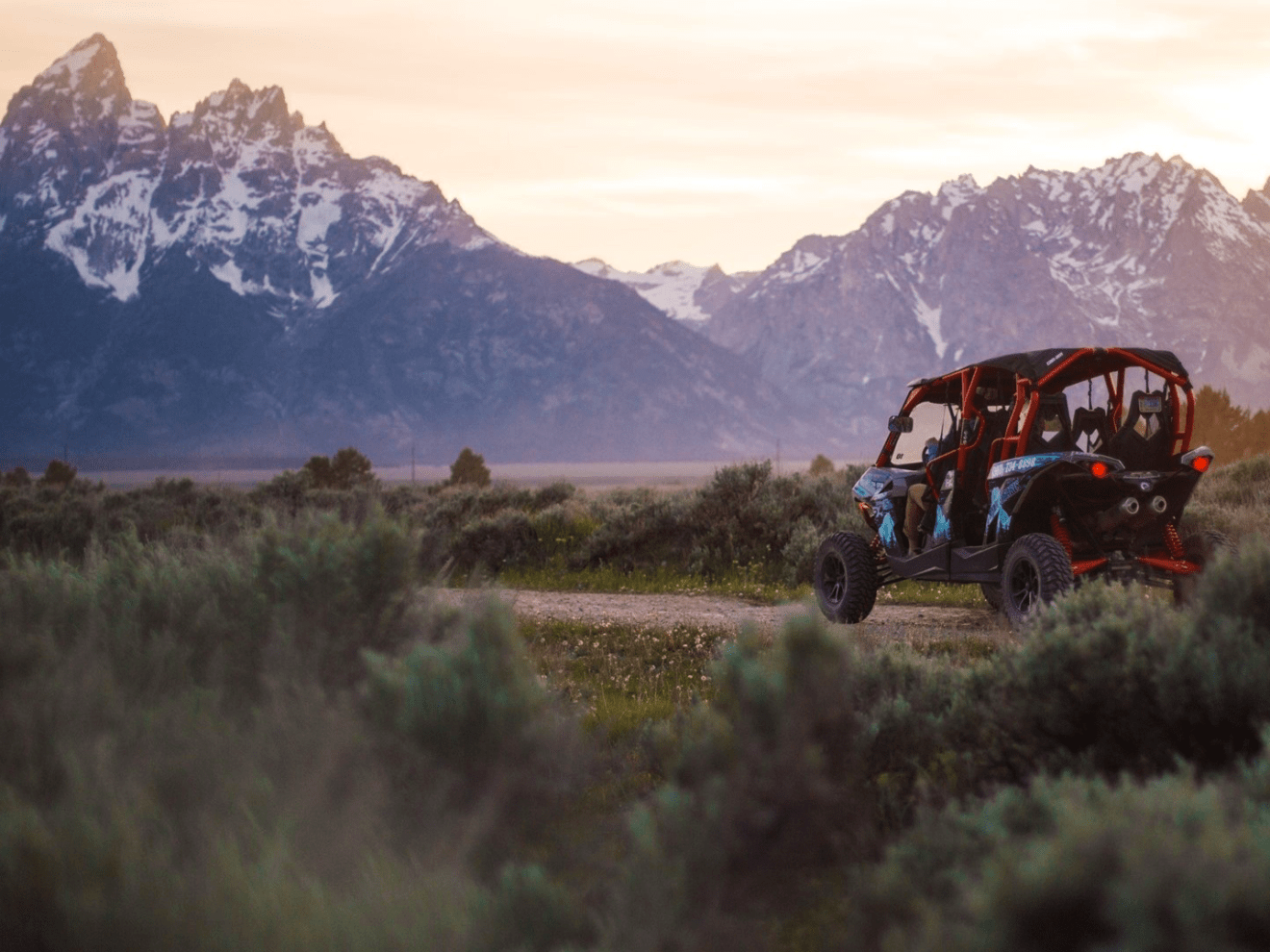 a field with a mountain in the background