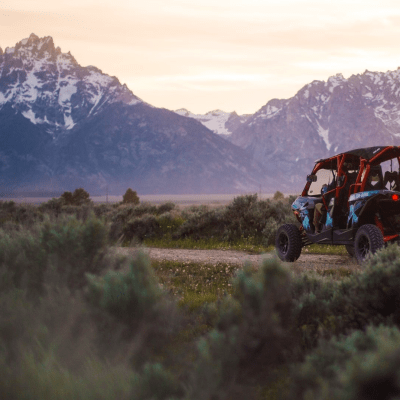 a field with a mountain in the background
