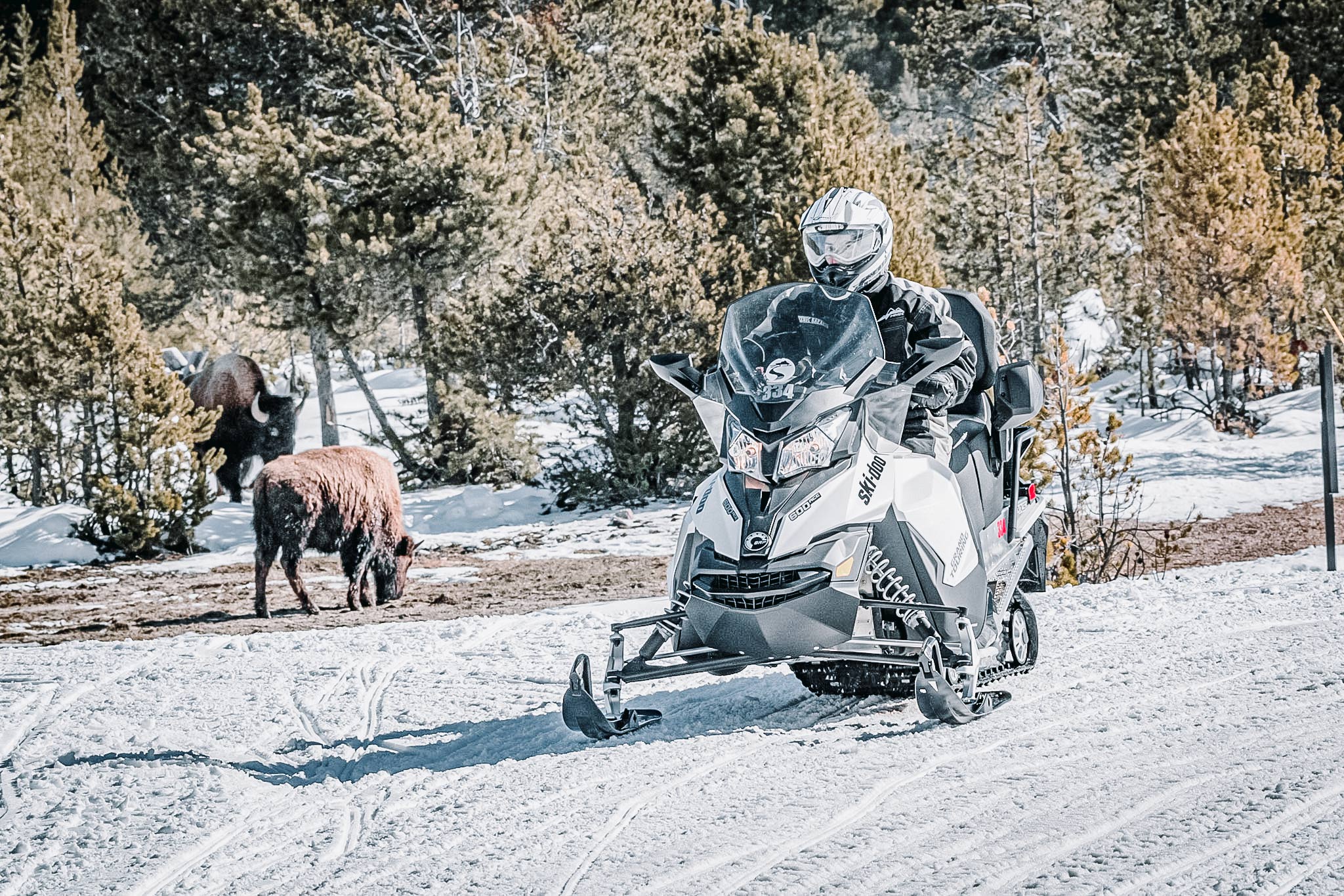 Winter Snowmobile Tours in Jackson Hole | Scenic Safaris